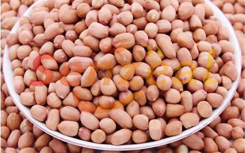 Peanut Kernels